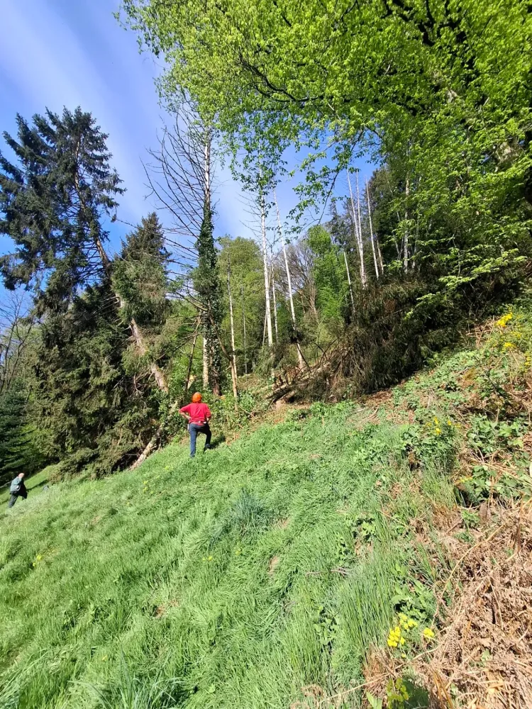 Terrain